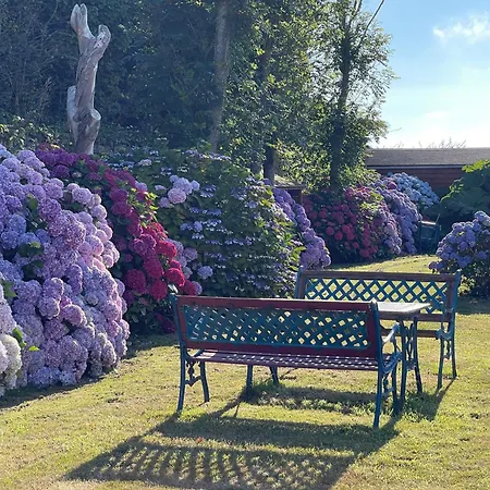 מלון Du Cap - La Hague