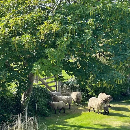Du Cap - La Hague מלון 2*
