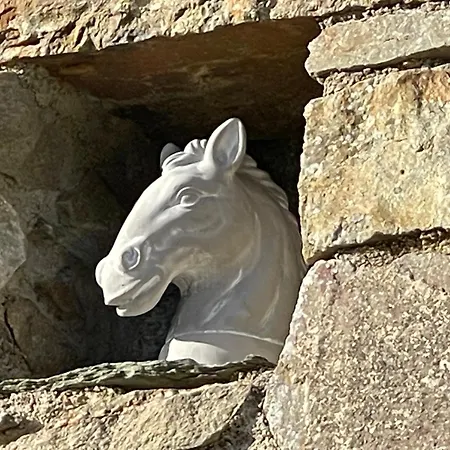 Du Cap - La Hague מלון 2*