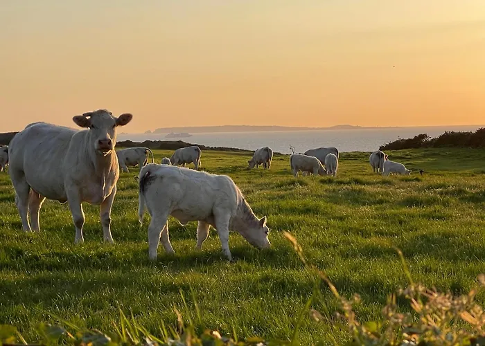 Отель Du Cap - La Hague Auderville