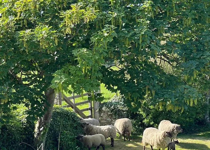 Du Cap - La Hague Отель 2*